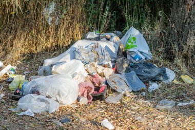 Doğada toplanan inorganik atık. Doğadaki bir yığın içinde toplanan inorganik atıkların yakın çekim görüntüsü.