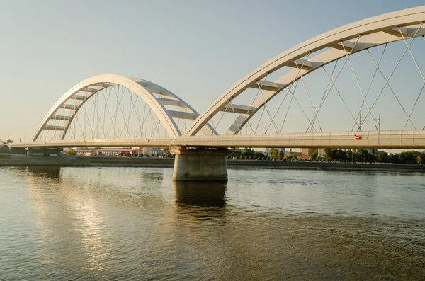 Novi Sad Serbia July 2022 Zezelj Bridge River Danube Novi — Photo
