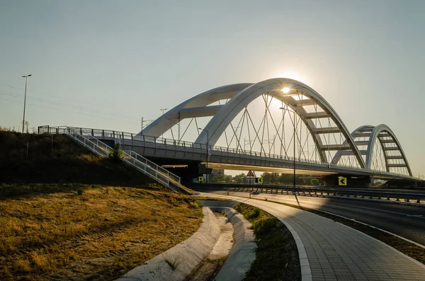 Novi Sad Serbia July 2022 Zezelj Bridge River Danube Novi — Photo