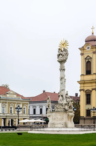 Timisoara Romania October 2016 Statue Plague Front Roman Catholic Cathedral — Foto de Stock