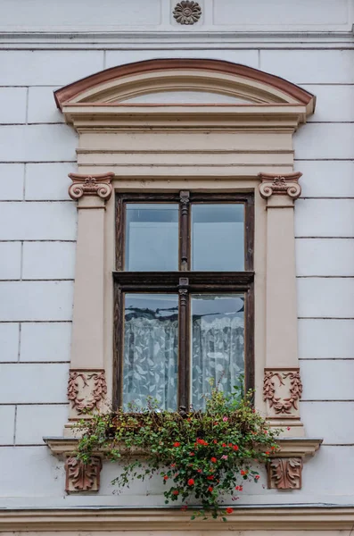 Timisoara Romania October 2016 Windows Decorative Baroque Facades Center Timisoara — Stockfoto