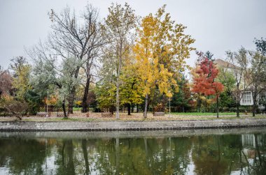 Timisoara, Romania - October 29, 2016: City park in Romania.