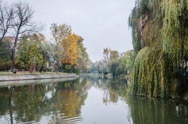 Timisoara, Romania - October 29, 2016: City park in Romania.