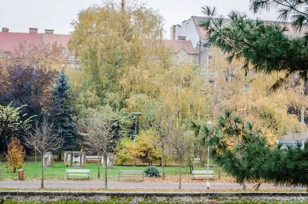 Timisoara Rumunsko Října 2016 City Park Rumunsku — Stock fotografie