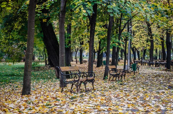 Timisoara Romania October 2016 City Park Romania — Stock Fotó