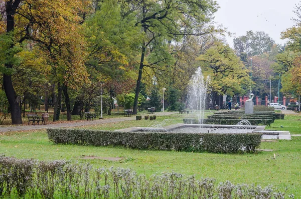 Timisoara Romania October 2016 City Park Romania — стокове фото