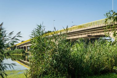 Srbobran is a town in Serbia. A panoramic view of the main street in the town of Srbobran. Novi Sad, Serbia. A bridge in the Vojvodina village of Srbobran on the river Krivaja.