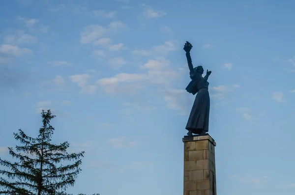 Srbobran Town Serbia View Statue Liberty Adorns Eponymous Square Srbobran — Foto de Stock