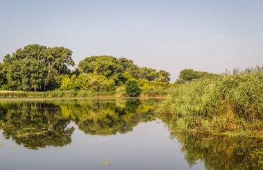 Srbobran is a town in Serbia. Panoramic view of the canal in Srbobran, Serbia.