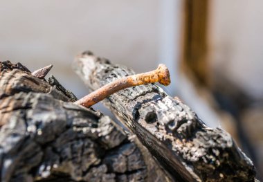 The remains of the burnt house. Ruined and collapsed house burnt and damaged in the fire with remains of the wooden reinforcement poles of roof selective focus. Burned house