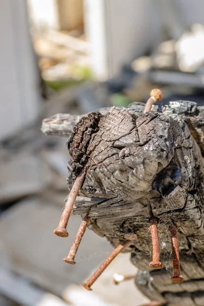 The remains of the burnt house. Ruined and collapsed house burnt and damaged in the fire with remains of the wooden reinforcement poles of roof selective focus. Burned house