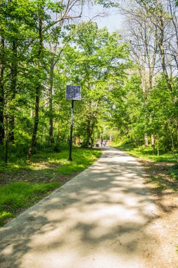 Solar panels of the alternative energy system have been installed on the promenade in the city park in Kamenica, near the city of Novi Sad, Serbia.