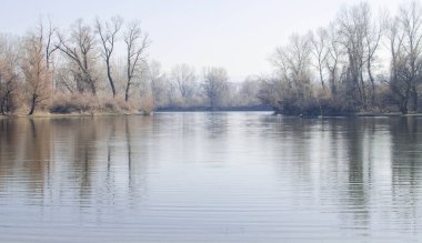 Panoramic view of the Danube river delta in winter.