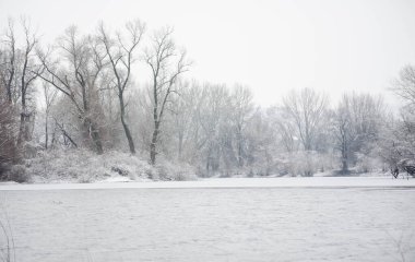 Danube river delta in winter. A panoramic view of the Danube river delta in winter, covered with snow and ice.