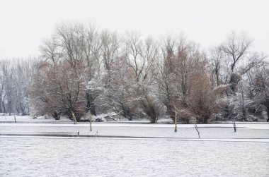Danube river delta in winter. A panoramic view of the Danube river delta in winter, covered with snow and ice.