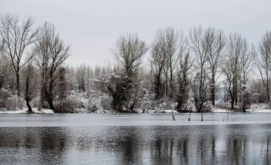 Danube river delta in winter. A panoramic view of the Danube river delta in winter, covered with snow and ice.