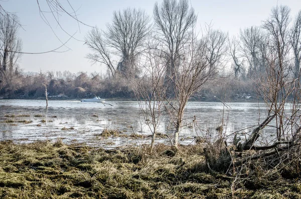 Panoramic View Danube River Delta Winter — Φωτογραφία Αρχείου