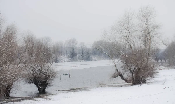 Danube River Delta Winter Panoramic View Danube River Delta Winter — Stock Photo, Image