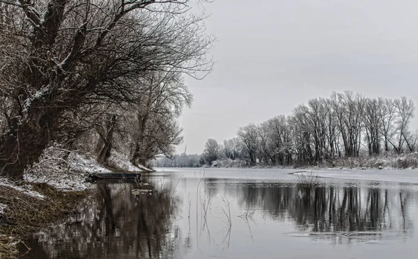 Danube River Delta Winter Panoramic View Danube River Delta Winter — 스톡 사진