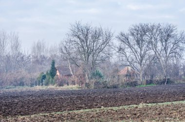 Arable land and winter crops in Serbia on on the background of the homestead.