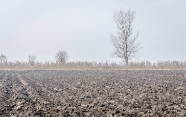 Arable land and winter crops in Serbia on on the background of the homestead.