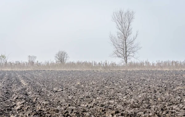 Arable land and winter crops in Serbia on on the background of the homestead.