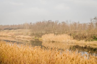 A view of the Danube Tisa Danube Canal (DTD), a canal system during the autumn period in Serbia. It is a unique hydrotechnical system for flood control and hydrotechnical management, land reclamation, forestry, water supply, waste water evacuation,
