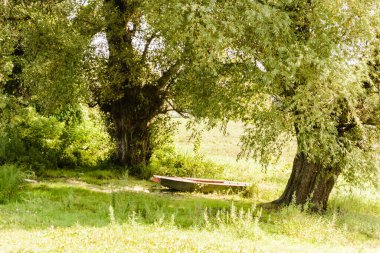 Wooden boats in the shade of a Poplar tree on the shore of the lake. Wooden boats in the shade of a Poplar tree on the shore of a lake bathed in the afternoon sun.