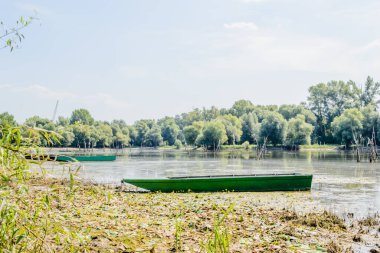 A view of the backwater of the Danube river illuminated by the sun. A wooden boat for sport fishing moored on the water bank of the Danube branch in the summer, lit by the sun.