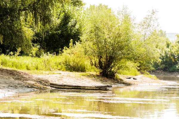 A view of the backwater of the Danube river illuminated by the sun. A wooden boat for sport fishing moored on the water bank of the Danube branch in the summer, lit by the sun.