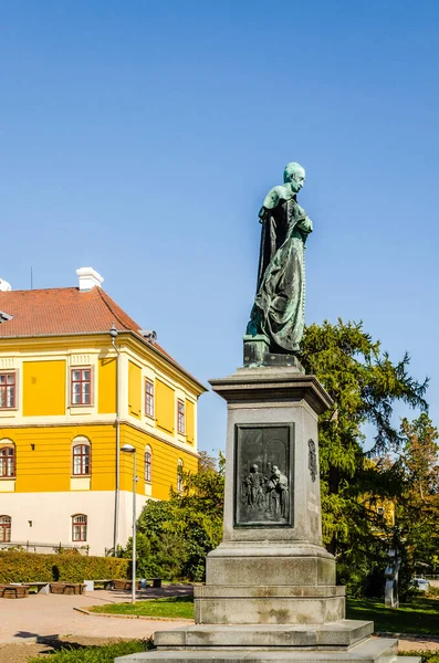 Pecs Hungary October 2018 Statue Ignac Szepesy Basilica Peter Paul — Foto de Stock