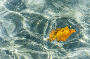 Pecs, Hungary - October 06, 2018: The fountain in the city park Pecs, Hungary