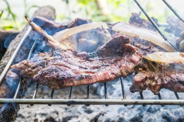 Meat on outdoor coal barbecue grill, close-up