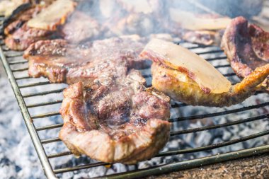 Meat on outdoor coal barbecue grill, close-up