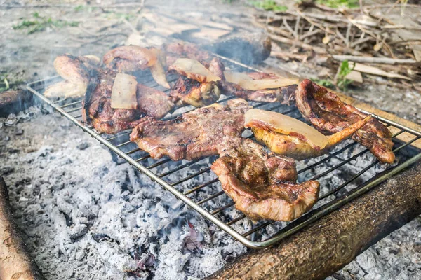 Κρέας Υπαίθρια Σχάρα Μπάρμπεκιου Άνθρακα Κοντινό Πλάνο — Φωτογραφία Αρχείου
