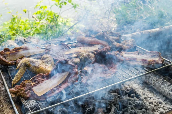 Κρέας Υπαίθρια Σχάρα Μπάρμπεκιου Άνθρακα Κοντινό Πλάνο — Φωτογραφία Αρχείου