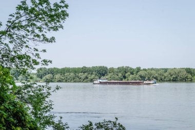 Novi Sad 'daki Tuna Nehri üzerinde hareket eden bir tanker..
