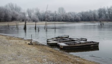Danube Island Sodros near Novi Sad, Serbia. Gray and white landscape with snow covered trees and frozen water.