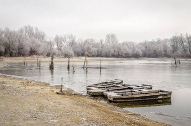 Danube Island Sodros near Novi Sad, Serbia. Gray and white landscape with snow covered trees and frozen water.