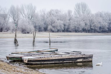 Danube Island Sodros near Novi Sad, Serbia. Gray and white landscape with snow covered trees and frozen water.