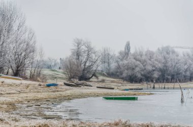 Danube Island Sodros near Novi Sad, Serbia. Gray and white landscape with snow covered trees and frozen water.