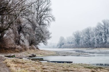 Danube Island Sodros near Novi Sad, Serbia. Gray and white landscape with snow covered trees and frozen water.