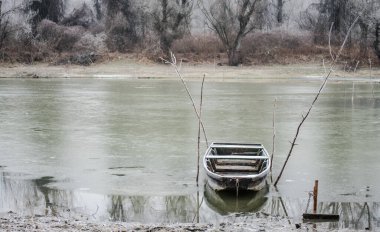 Danube Island Sodros near Novi Sad, Serbia. Gray and white landscape with snow covered trees and frozen water.