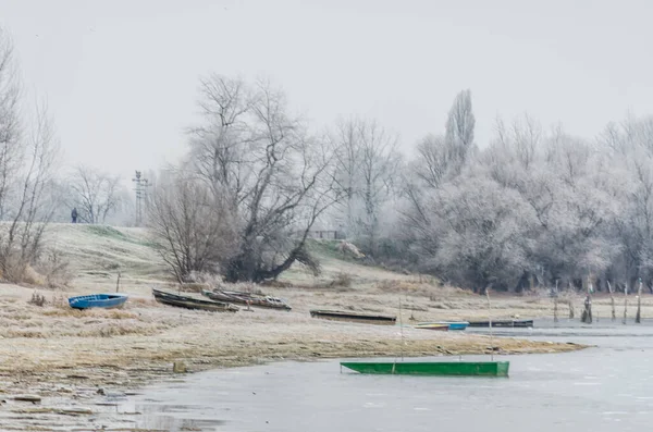 Danube Island Sodros near Novi Sad, Serbia. Gray and white landscape with snow covered trees and frozen water.