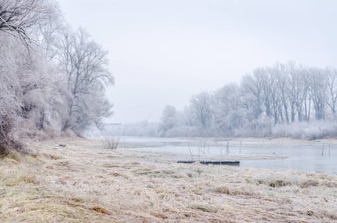 Danube Island Sodros near Novi Sad, Serbia. Gray and white landscape with snow covered trees and frozen water.