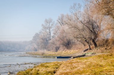 Danube Island Sodros near Novi Sad, Serbia. Landscape with snow covered trees and frozen water.