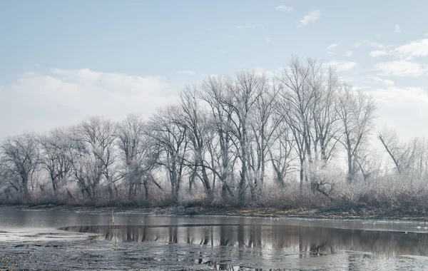 Danube Island Sodros near Novi Sad, Serbia. Landscape with snow covered trees and frozen water.