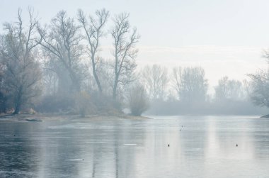Danube Island Sodros near Novi Sad, Serbia. Gray and white landscape with snow covered trees and frozen water.