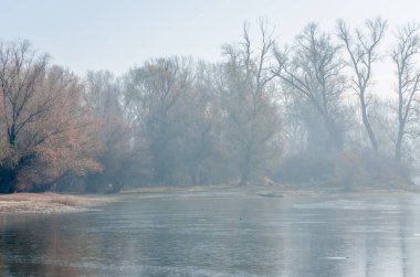 Danube Island Sodros near Novi Sad, Serbia. Gray and white landscape with snow covered trees and frozen water.
