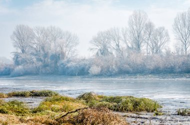 Danube Island Sodros near Novi Sad, Serbia. Gray and white landscape with snow covered trees and frozen water.